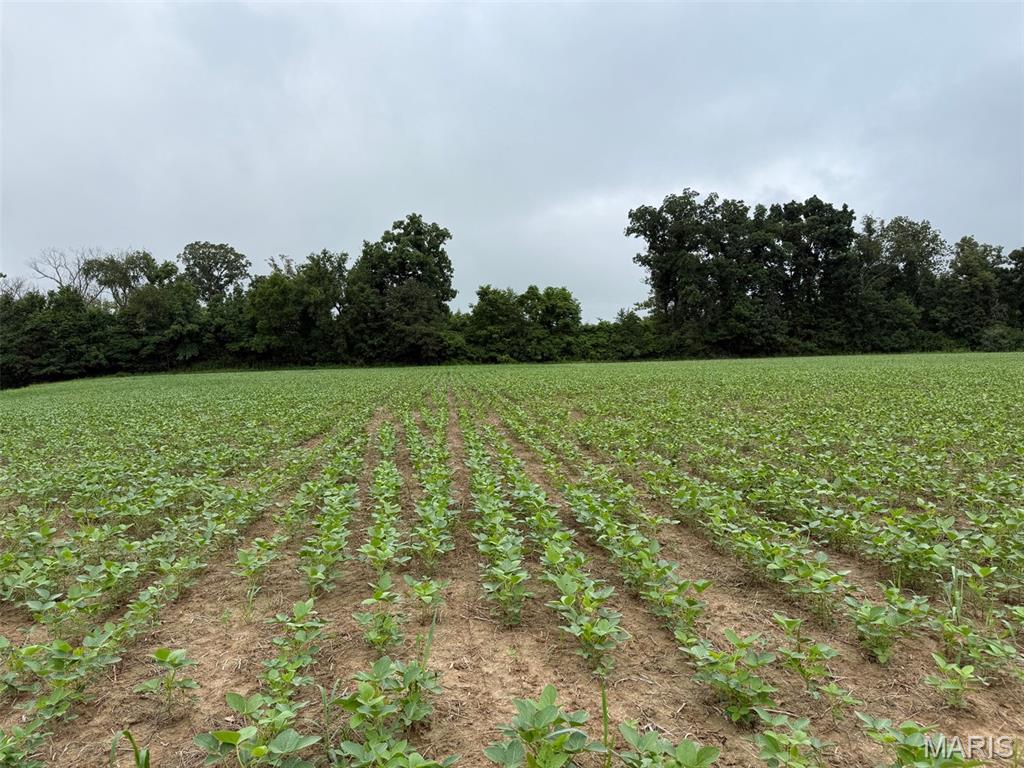 Not in a subdivision - Farm