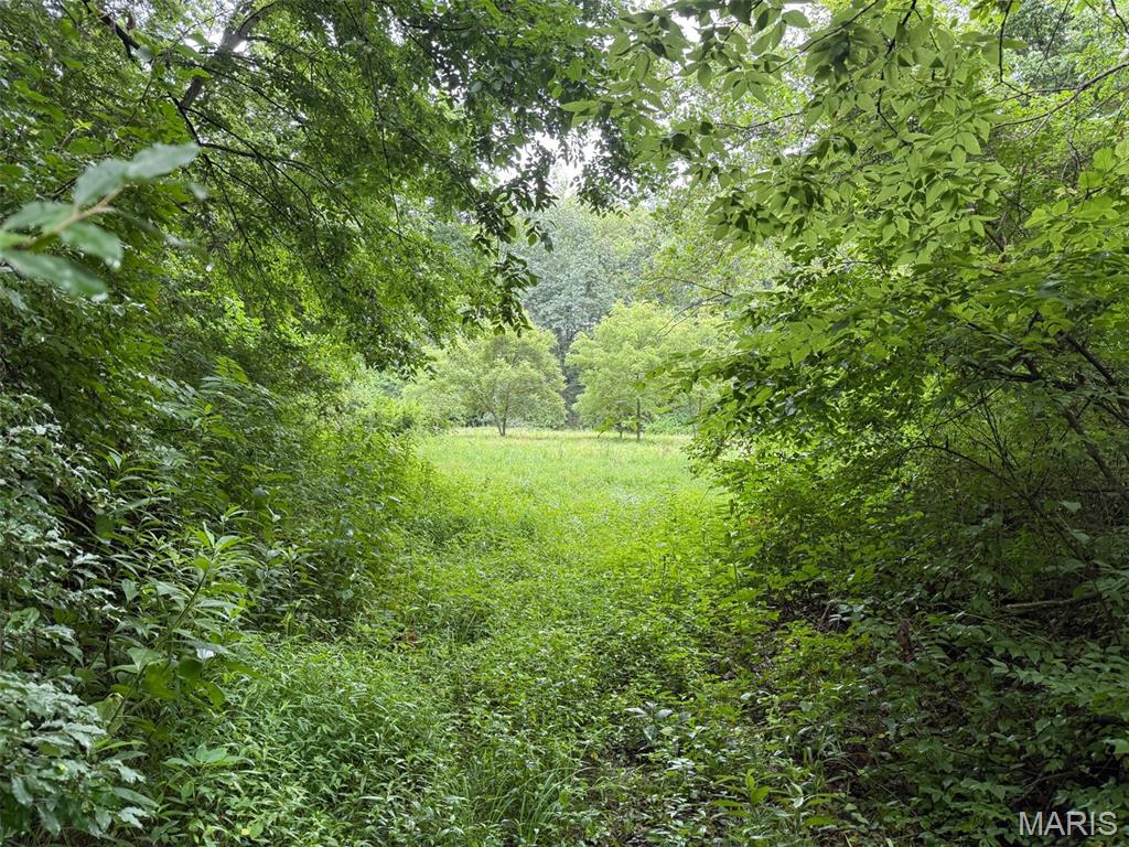 Not in a subdivision - Farm