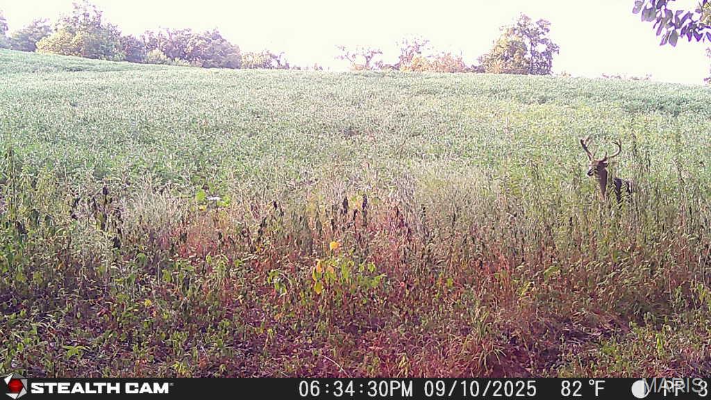 Not in a subdivision - Farm
