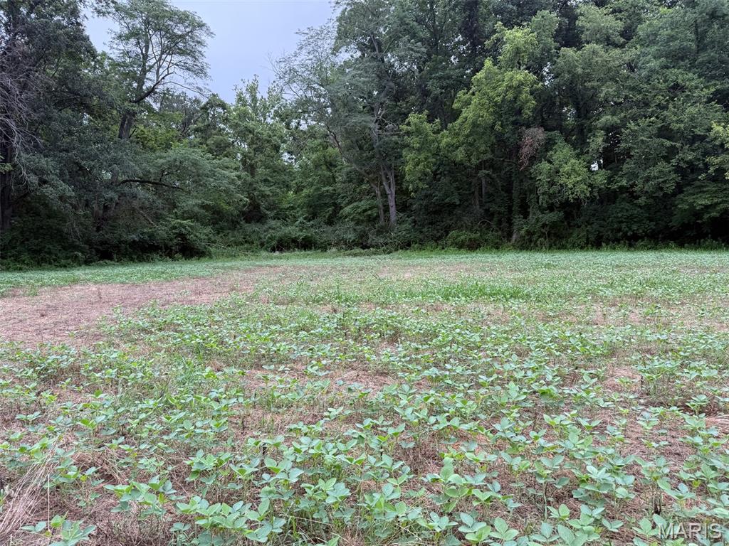 Not in a subdivision - Farm