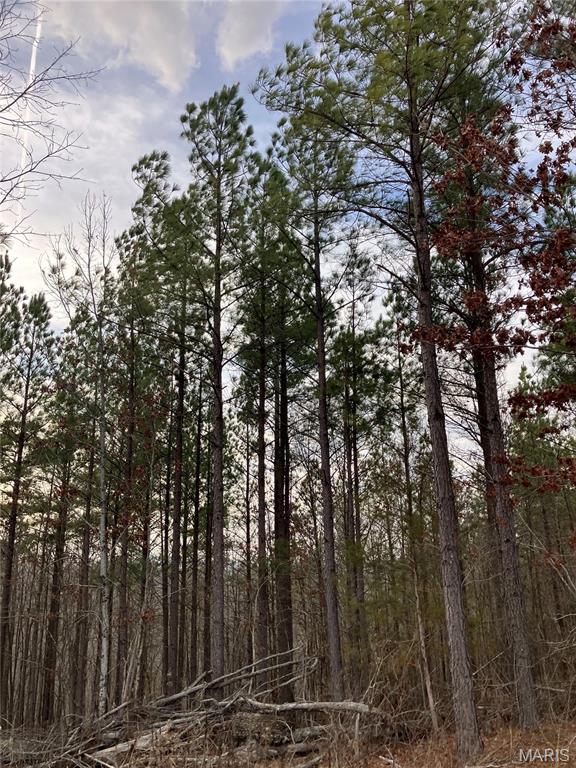 This more than nine acre Ozark hideaway sits within about a mile of Mark Twain National Forest. 
The wooded property comes with NO restrictions, and has an unimproved access road around three sides. And there's a nice deeded easement road leading from the county road to the property.
Hunt, camp, build, ride ATVs on your own land, or fish or play in the nearby 12 Mile Creek ... endless opportunities.
This property is wooded and rolling. You are within a mile of the 22,176-acre Mark Twain National Forest ... public ground where you can also hunt, ride and explore. All this, and only about 2 miles by road from U.S. 67.
Use this wooded, secluded property as a base camp for adventure. This and surrounding land is teeming with deer, turkey and small game, and the occasional feral hog or maybe a black bear.
There is additional acres available which adjoin this piece if interested.