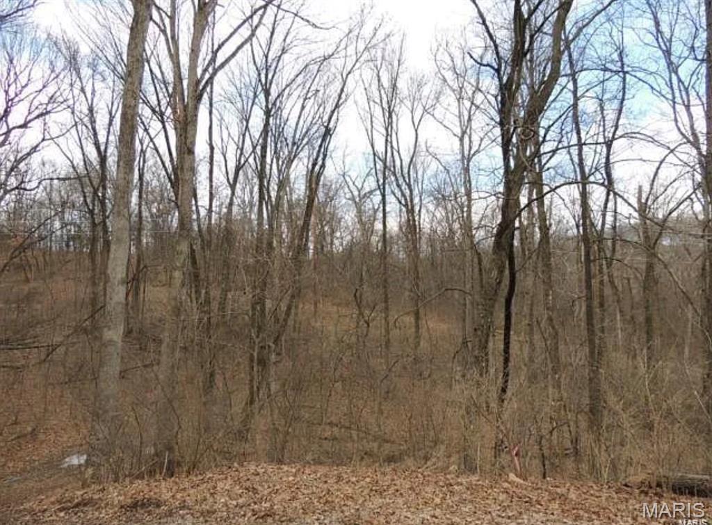 Gorgeous 3+acre lot in the heart of Wildwood! This premium lot is situated at the end of a quiet wooded cul-de-sac with a perfect layout for a walkout with some level area as well! Paved road and electric is at the street! Best lot in subdivision. Custom build your dream home using your own builder! There are recorded restrictions for the neighborhood as far as minimum square footage, etc. Please see the attachment for details. SELLER IS OFFERING $8000 CONCESSION FOR CLOSING OR CLEARING THE LOT.