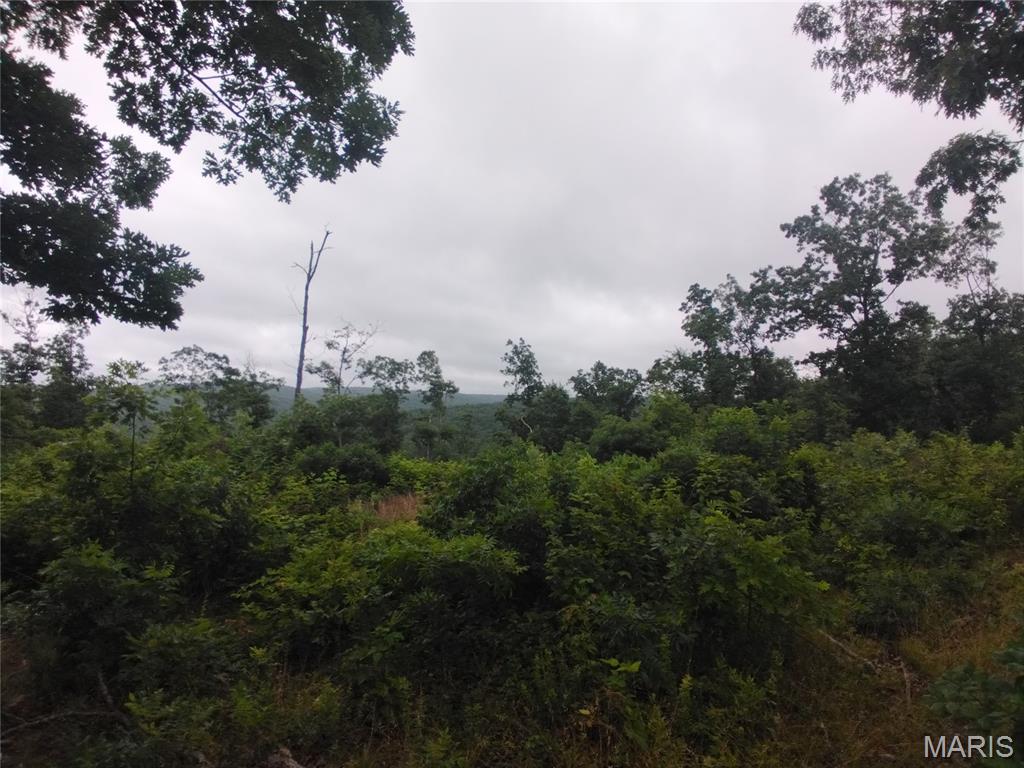 Discover the beauty of the Ozarks with this 100+/- acre tract located off Highway O in Belleview, Missouri. Tucked away at the end of an easement road, this property offers the privacy and seclusion you've been searching for while still being conveniently located near area attractions. Enjoy breathtaking views of the surrounding countryside, abundant wildlife, and plenty of room to explore, hunt, hike, or build your dream home or weekend getaway. Whether you're looking for recreational land, a hunting retreat, or a peaceful place to escape, this property offers endless possibilities. Located just a short drive from Elephant Rocks State Park, Johnson's Shut-Ins, the Black River, and Mark Twain National Forest, you'll have access to some of Missouri's most sought-after outdoor destinations. Don't miss this opportunity to own a beautiful piece of land.
