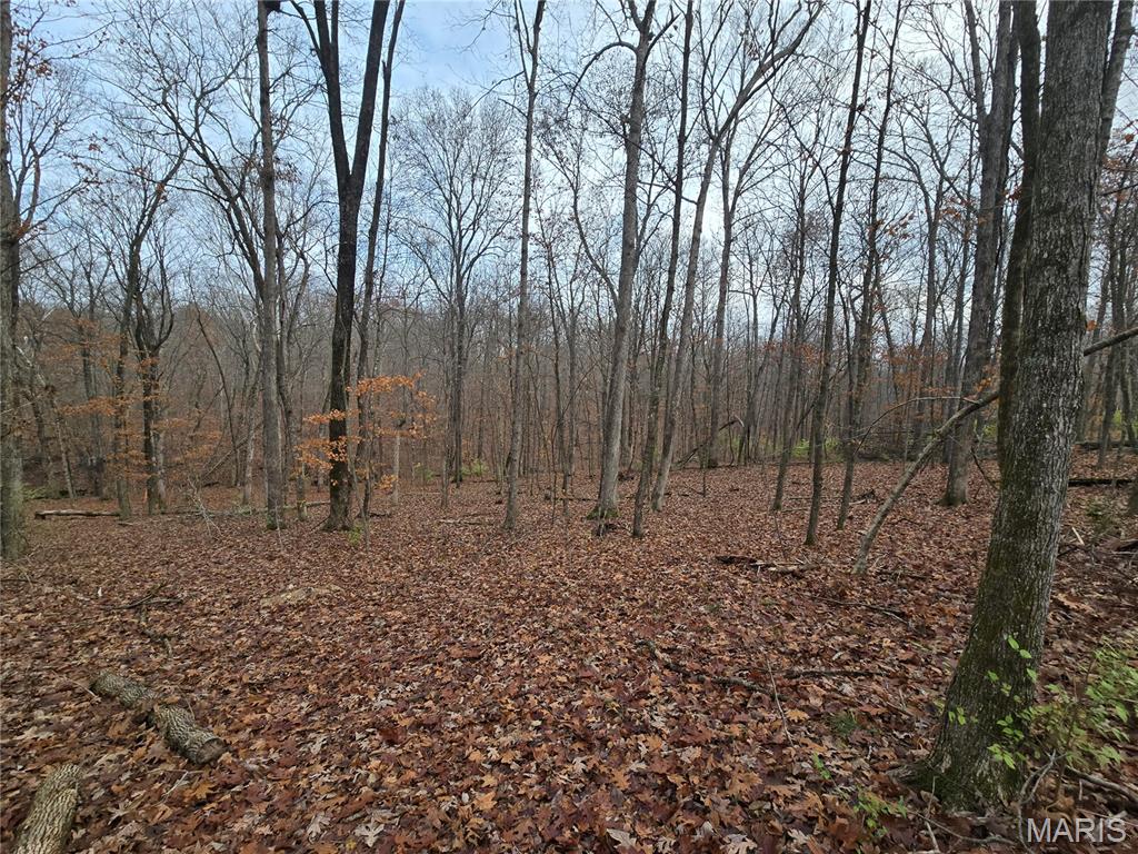 Over 10 acres of wooded, unrestricted land located just outside of Union, Missouri. Property offers a mix of mature trees, wildlife, and privacy. Ideal for hunting, hiking, trail riding, or build a home and make it your homestead. Abundant whitetail deer and other wildlife throughout the acreage. There is an easement to Sunset Echo Road with perfect opportunity for a weekend retreat, future home site, or outdoor getaway. Easy access to Union and local amenities. Acreage, privacy, and endless possibilities await!