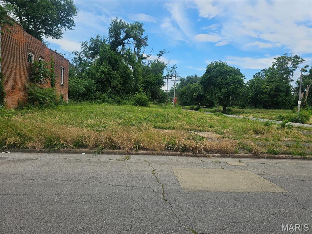 Here's your chance to own a vacant residential lot with approximately 3,250 square feet. Bring your ideas and explore the possibilities this property has to offer!