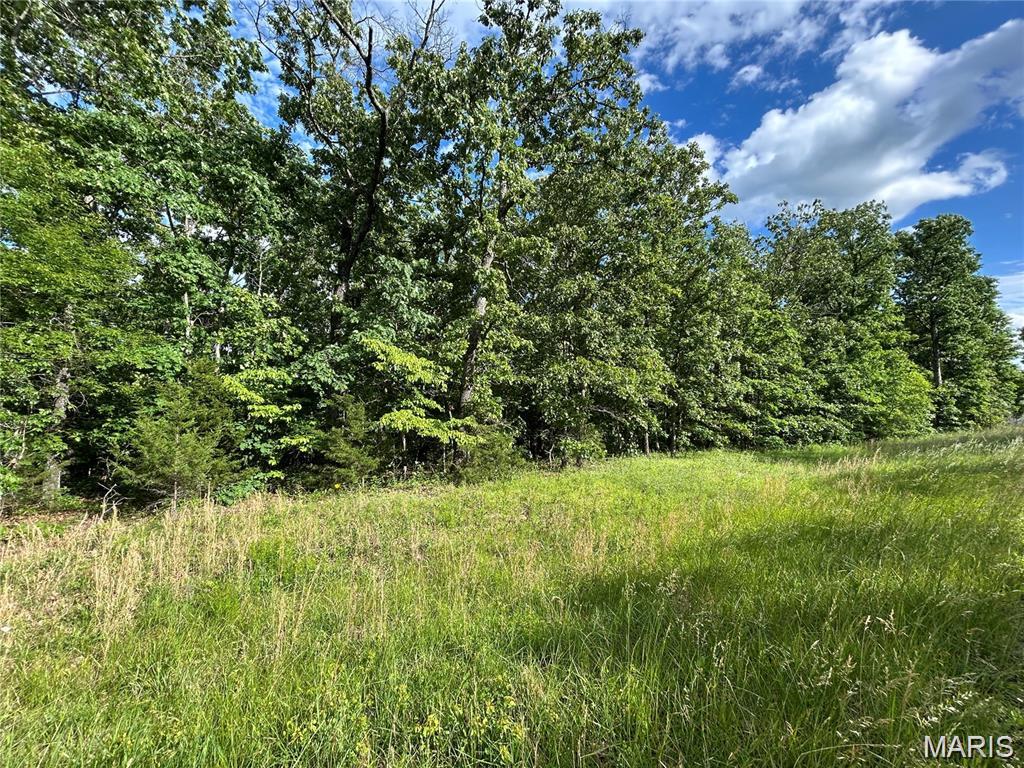 Hickory Ridge Estates - Land