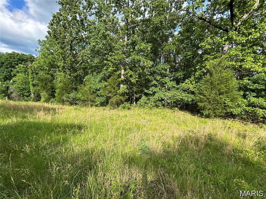 Hickory Ridge Estates - Land