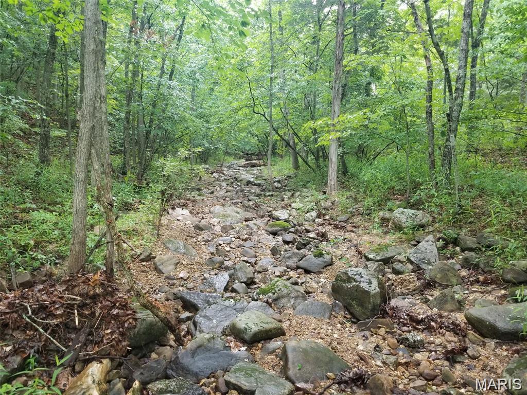 Hickory Ridge Estates - Land