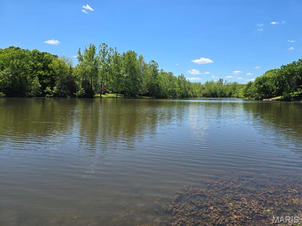 Beautiful wooded waterfront lot on Summer Lake in the gated community of Raintree Plantation! Nestled along the shoreline of this peaceful private lake, this property offers the perfect setting to build your dream getaway or full-time retreat surrounded by nature and water views.
Imagine spending your mornings fishing from your own backyard, afternoons kayaking or boating on the lake, and evenings relaxing around a firepit under the trees. Whether you are ready to build now or simply want an affordable way to enjoy lake life, this lot offers the opportunity to create your own private escape.
Ownership includes access to Raintree Plantation amenities including 4 private lakes for fishing, boating, and swimming, a white sand beach area, community pool, golf course, country club, restaurant, picnic areas, campground, and a golf cart-friendly community atmosphere.
Bring your own builder and enjoy the laid-back lake lifestyle Raintree is known for, all conveniently located about 35 minutes from South County. Enjoy one of the limited waterfront opportunities available in Raintree Plantation.