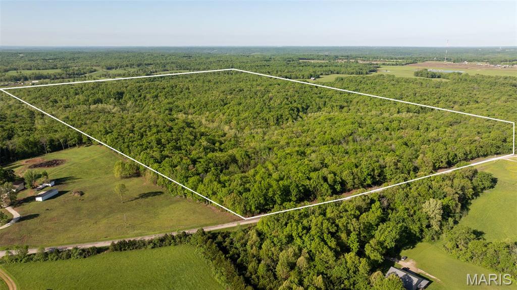 We are pleased to present 188 surveyed acres in Callaway County, Missouri, offering a prime opportunity for hunting, recreation, and timber investment. Accessed directly from blacktop frontage on Highway PP, this property provides convenient access, being approximately 16 minutes from Fulton, 23 minutes from Jefferson City, and 21 minutes from Kingdom City.

This highly sought-after tract is almost entirely timbered, with 99% of its 188± acres covered in mature and marketable timber, creating an ideal habitat for abundant wildlife. The land features diverse topography, including hilly areas, bottomland, and steeper sections, all bisected by Muddy Creek, which provides a consistent water source and further enhances the property’s ecological value. An extensive trail system navigates the property, leading to two potential food plot locations or secluded campgrounds, perfect for enhancing hunting opportunities or establishing a private recreational base. Basic fencing marks some boundaries, but utilities are not currently available on site.