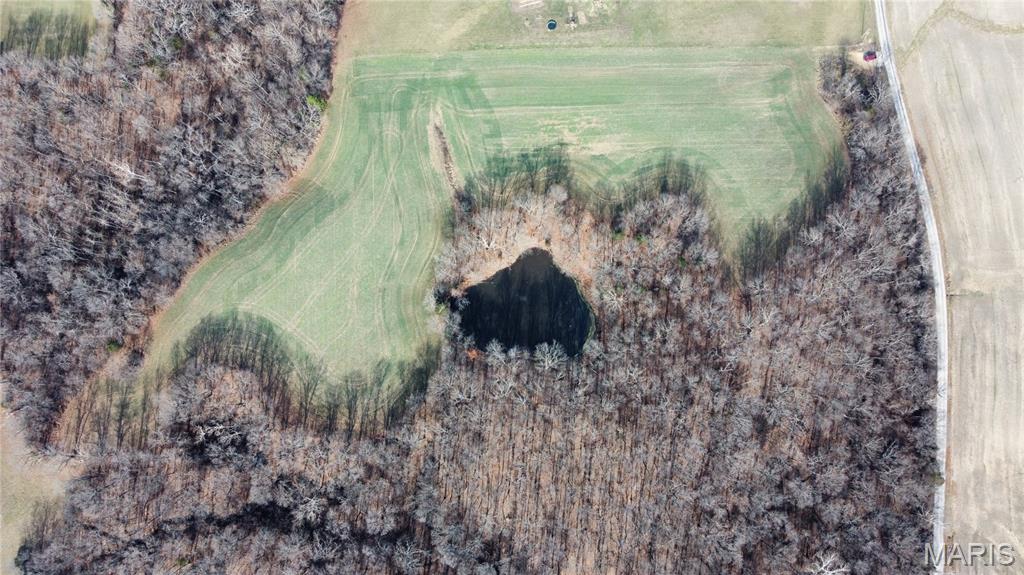 16.8 surveyed acres on G Road in the highly desirable Waterloo School District! This stunning property offers the perfect mix of open and private land, featuring approximately 7 open acres, a pond (under 1 acre), and the remaining acreage in mature woods. Enjoy the peace and privacy of country living with modern conveniences nearby—Fountain Water District has a water line at the road, Monroe County Electric is close by, and fiber internet is anticipated to be installed soon. An exceptional opportunity to build your dream home in a beautiful, serene setting.