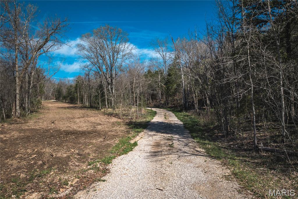 Spring Bluff Farms - Land