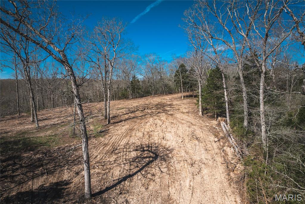 Spring Bluff Farms - Land