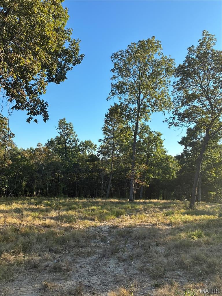 Spring Bluff Farms - Land
