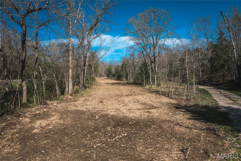 Spring Bluff Farms - Land