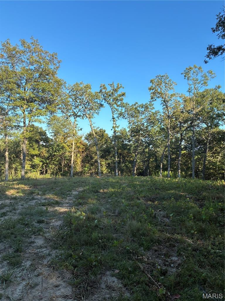 Spring Bluff Farms - Land