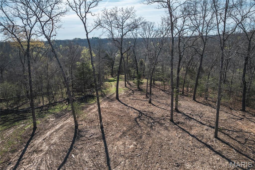 Spring Bluff Farms - Land