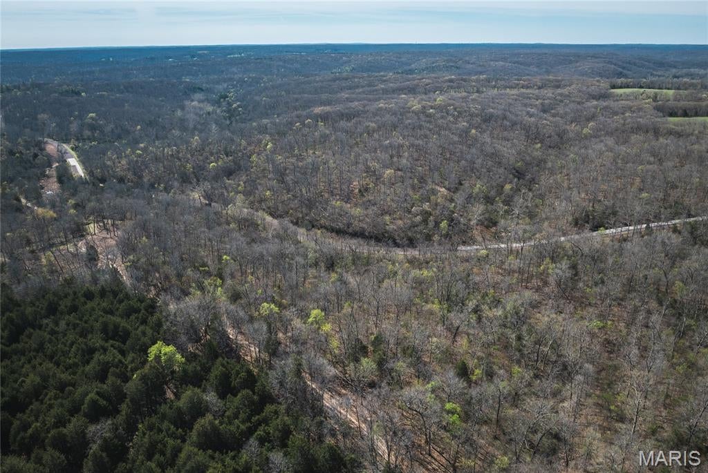 Spring Bluff Farms - Land