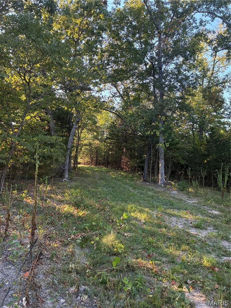 Spring Bluff Farms - Land