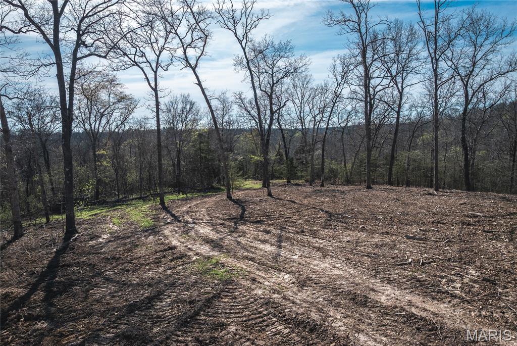 Spring Bluff Farms - Land