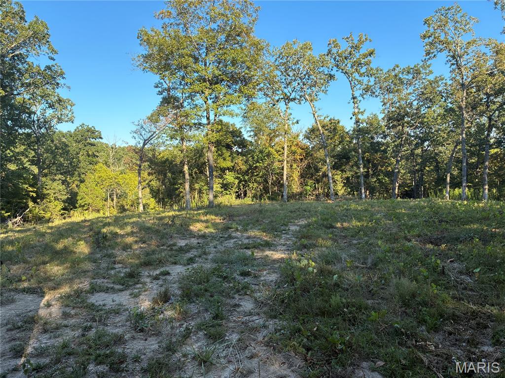 Spring Bluff Farms - Land