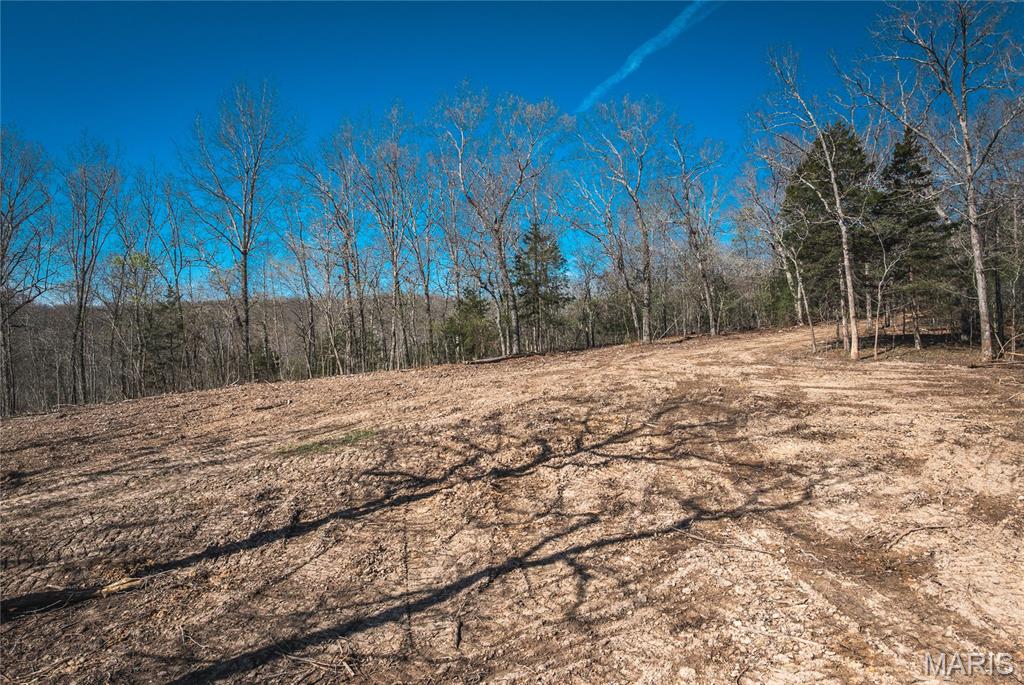 Spring Bluff Farms - Land