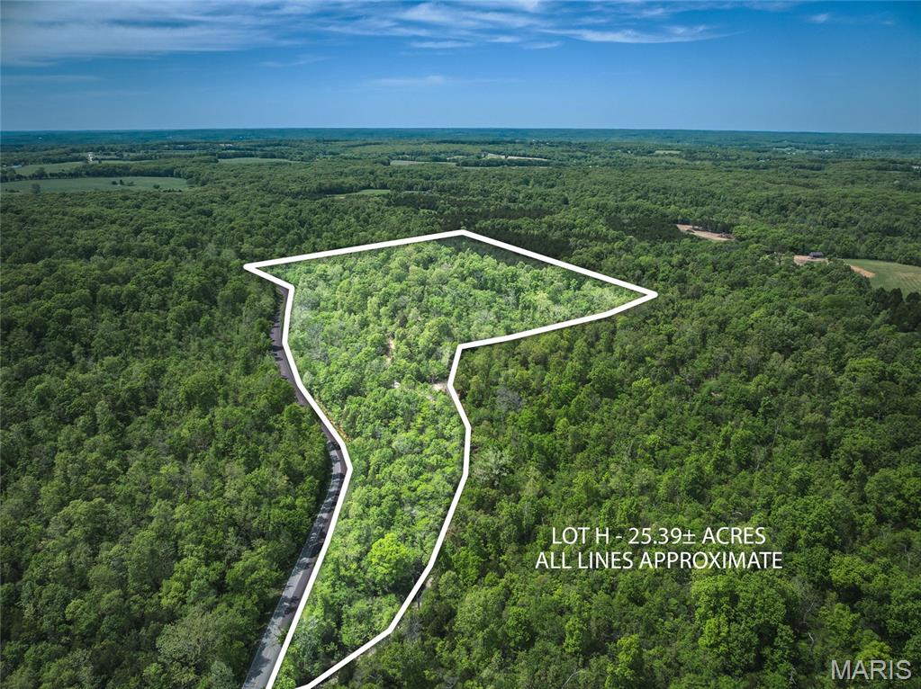 Lot H of Spring Bluff Farms is situated on 25.39 acres. It is accessible off of the newly established Armadillo Lane which is located off of Spring Creek Road. Enough acreage for recreational use, deer and turkey hunting, or building your new home. Located in a quiet and peaceful setting in the well sought after Spring Bluff School District. Bring your building plans and the builder of your choice and get started on your dream home!