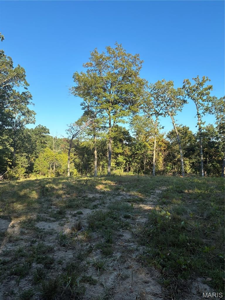Spring Bluff Farms - Land