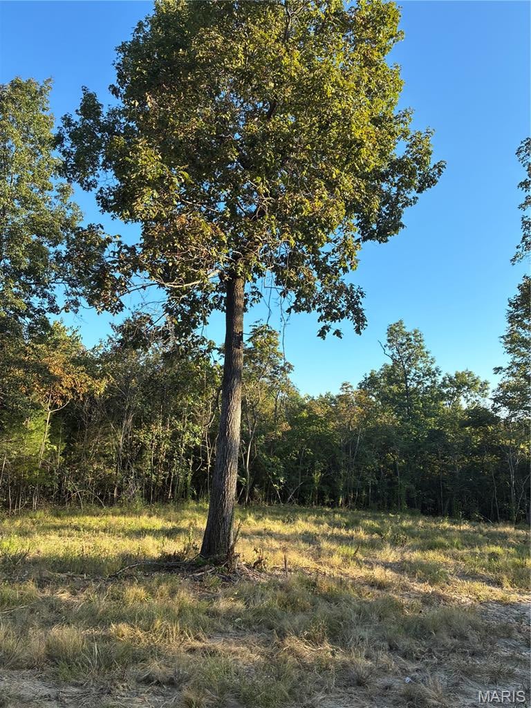 Spring Bluff Farms - Land