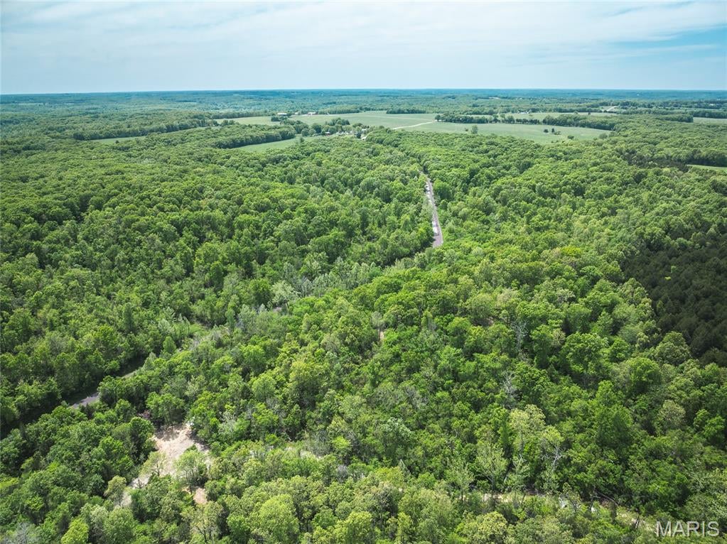 Spring Bluff Farms - Land
