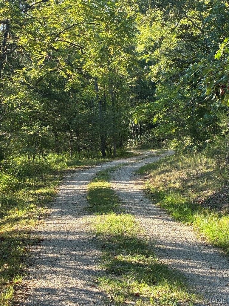 Spring Bluff Farms - Land