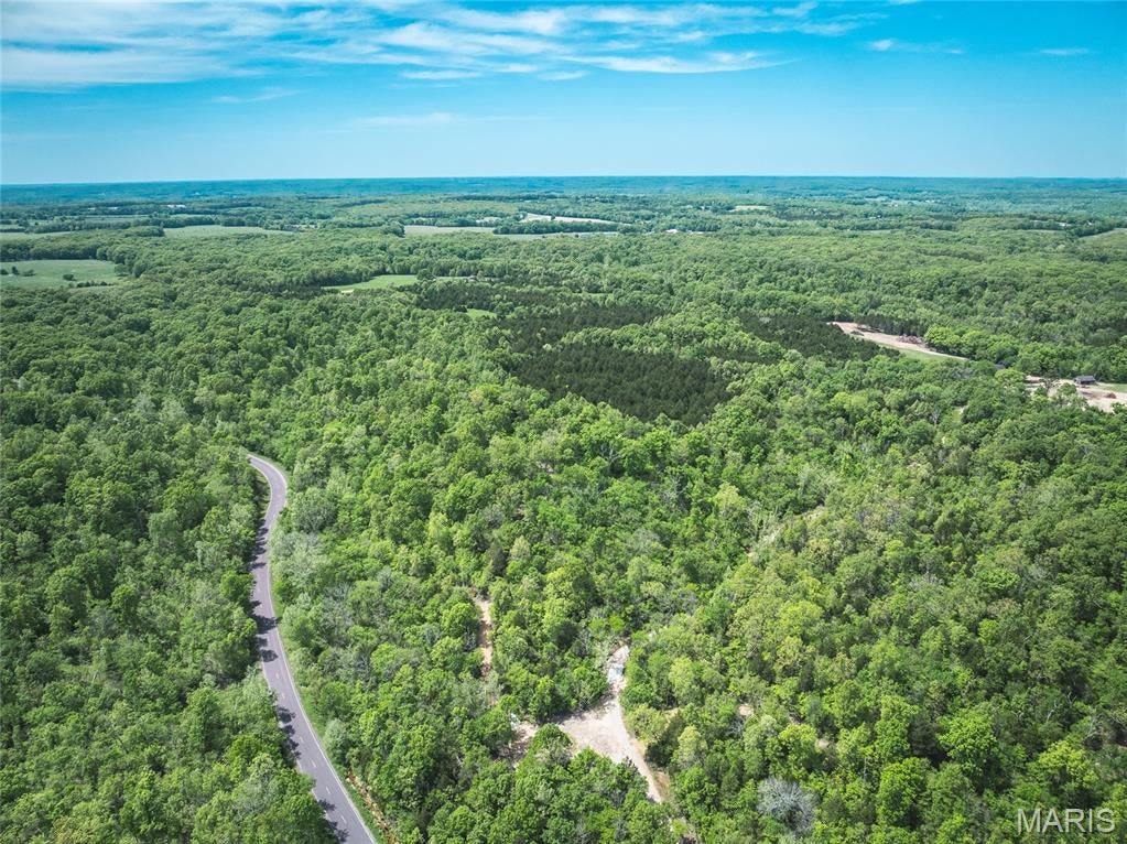 Spring Bluff Farms - Land
