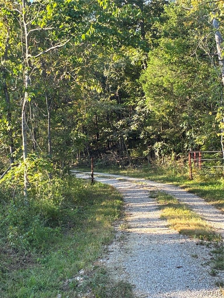 Spring Bluff Farms - Land