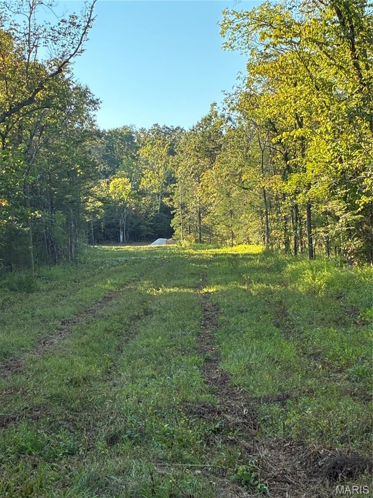 Spring Bluff Farms - Land