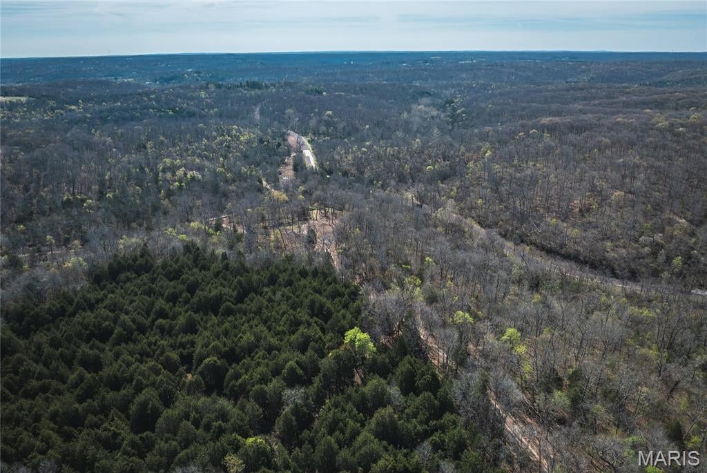 Spring Bluff Farms - Land