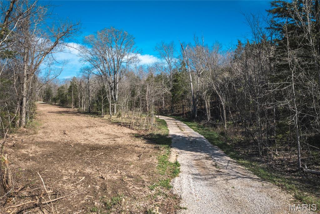 Spring Bluff Farms - Land