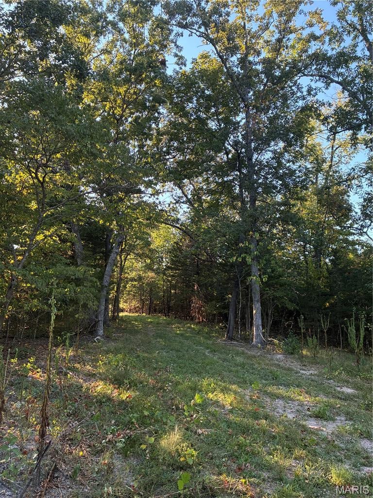 Spring Bluff Farms - Land