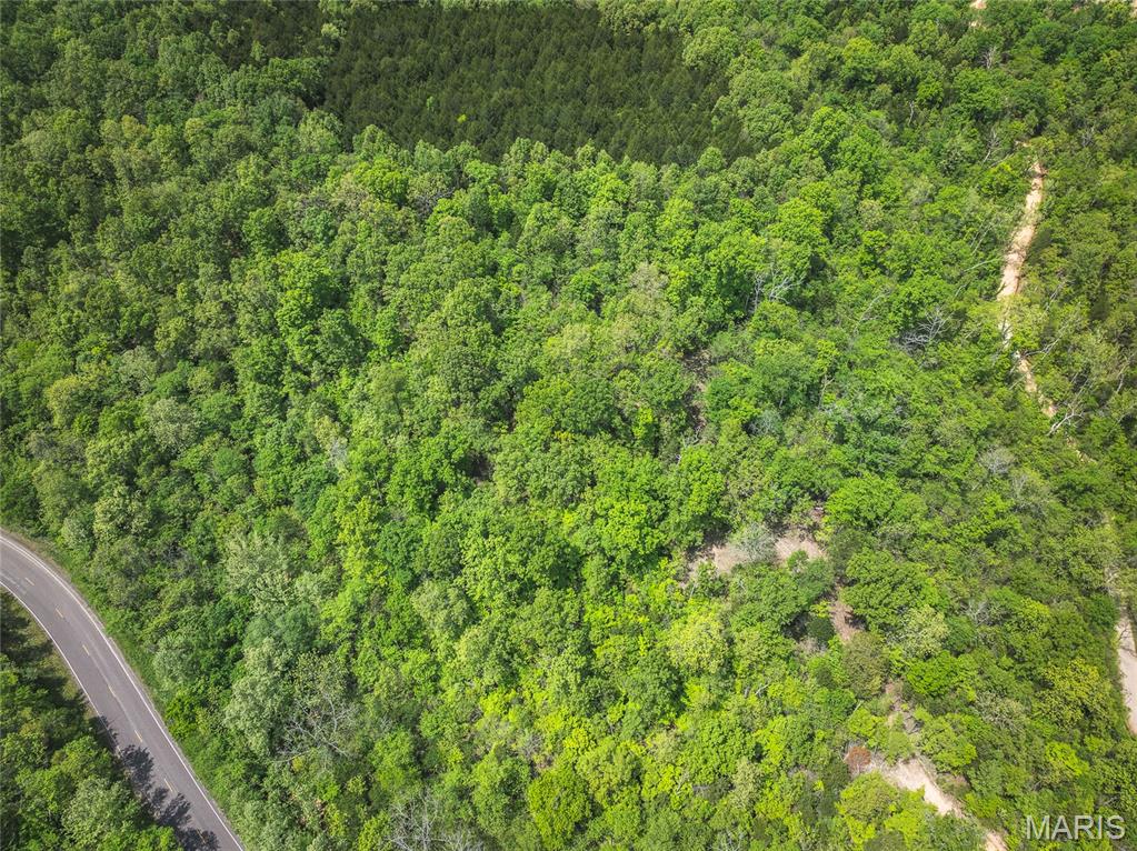 Spring Bluff Farms - Land