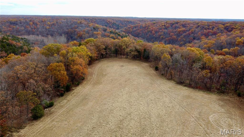 Polston Farms - Farm