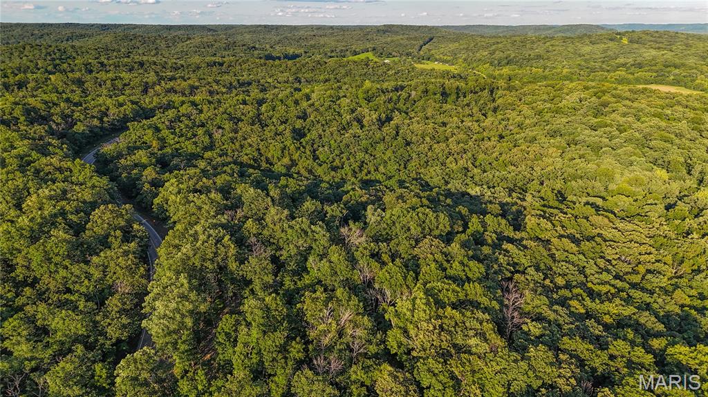 Located in southern Callaway County, Missouri, this 43.36± acre tract offers a combination of wildlife habitat, recreational opportunities, and convenient access in an area known for its diverse landscape. Situated just above the Missouri River bottoms, the property benefits from a mix of terrain and habitat types that support a variety of wildlife species throughout the year. The property features direct frontage along Highway 94, providing convenient access and reducing the need for easement or shared road arrangements. Its location places it within a scenic corridor of central Missouri and provides a straightforward drive to Hermann, a well-known Missouri River community offering dining, shopping, lodging, and local attractions. A clover food plot has been established on the property, providing a forage source for wildlife and serving as a focal point for hunting and wildlife observation activities. The surrounding area is recognized for active wildlife management practices, contributing to a landscape that supports healthy populations of whitetail deer, wild turkey, ruffed grouse, and other native species. Multiple mature bucks have been harvested from the property in recent years, reflecting the area's strong wildlife habitat and management history. One of the notable characteristics of this tract is its configuration. While totaling 43.36± acres, the property extends approximately 0.8 mile in width, creating the feel of a larger tract and offering increased separation between access points and wildlife activity areas. This layout provides flexibility for hunting strategies, habitat improvements, trail development, and recreational use. The property's location above the Missouri River bottoms contributes to habitat diversity and varying topography. This diversity creates opportunities for wildlife travel corridors, bedding areas, feeding locations, and natural cover. The combination of established food sources and surrounding habitat enhances the property's recreational appeal for hunters, outdoor enthusiasts, and landowners interested in wildlife management. Electricity and fiber optic internet are available along the road frontage, providing important infrastructure options for future improvements. Whether used for hunting, outdoor recreation, wildlife observation, or as a land investment, this Callaway County tract offers a blend of accessibility, habitat diversity, and utility availability in a desirable location. The property's proximity to the Missouri River corridor, direct highway access, established wildlife features, and access to modern utilities create a versatile ownership opportunity in central Missouri. For a private showing, call Logan Burk and Aaron Bennett today!