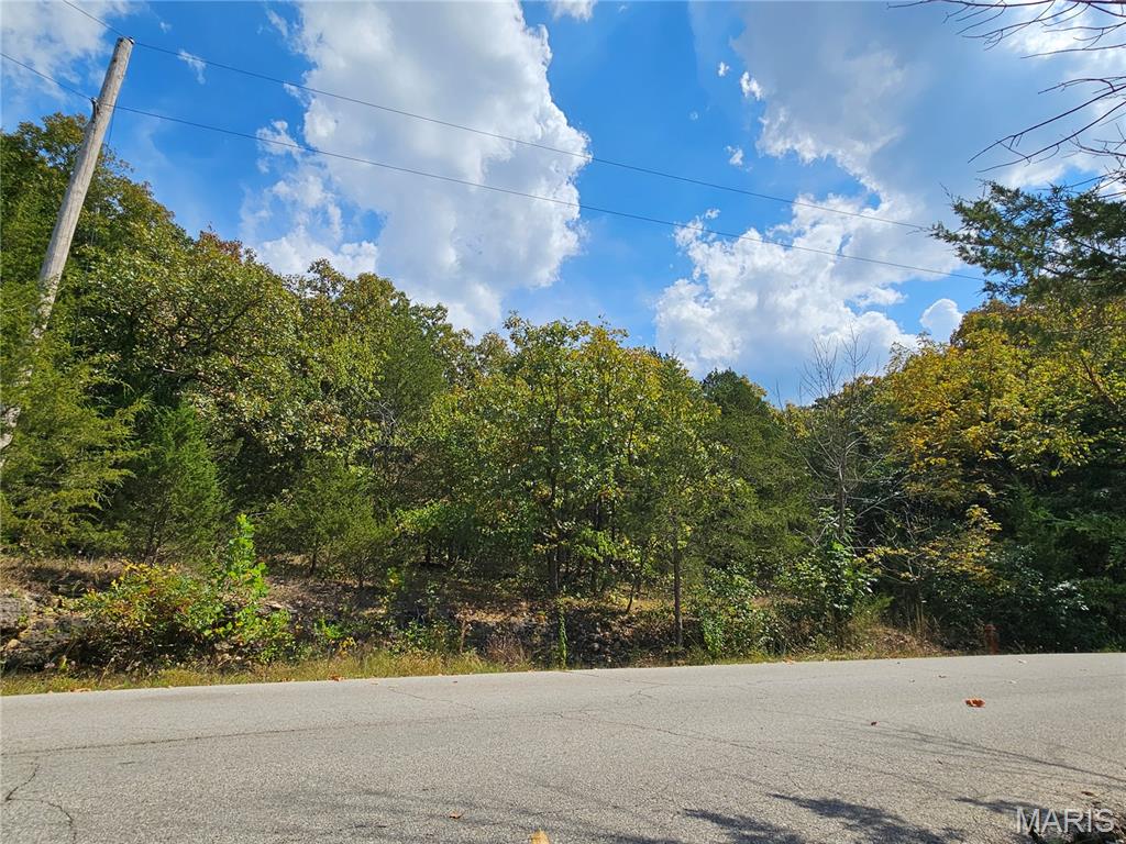 Welcome to 10020 Waterford Drive, in the highly desired Raintree Plantation. Great price for a quiet and private feel of the neighborhood, while having the lake views along the street! This is an opportunity to build your dream home in this gated and private neighborhood! Enjoy access to the private lake, beach, golf course, clubhouse, yearly activities, and amenities this neighborhood has to offer! Please reach out to the Raintree office to obtain a copy of the rules/indentures/land usage rights. Buyer to verify schools for accuracy. Buyer to get survey to determine exact boundary lines. This lot is a great value for the neighborhood! Schedule to see this in person!

Please note that the HOA fee is annual, but there is a secondary fee for the country club social membership. Reach out to Raintree for those membership levels and costs.