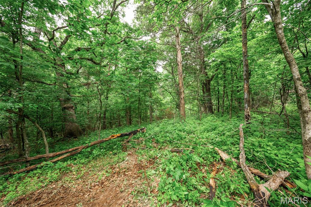 Halyon Estates - Land