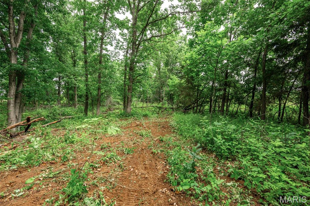 Halyon Estates - Land