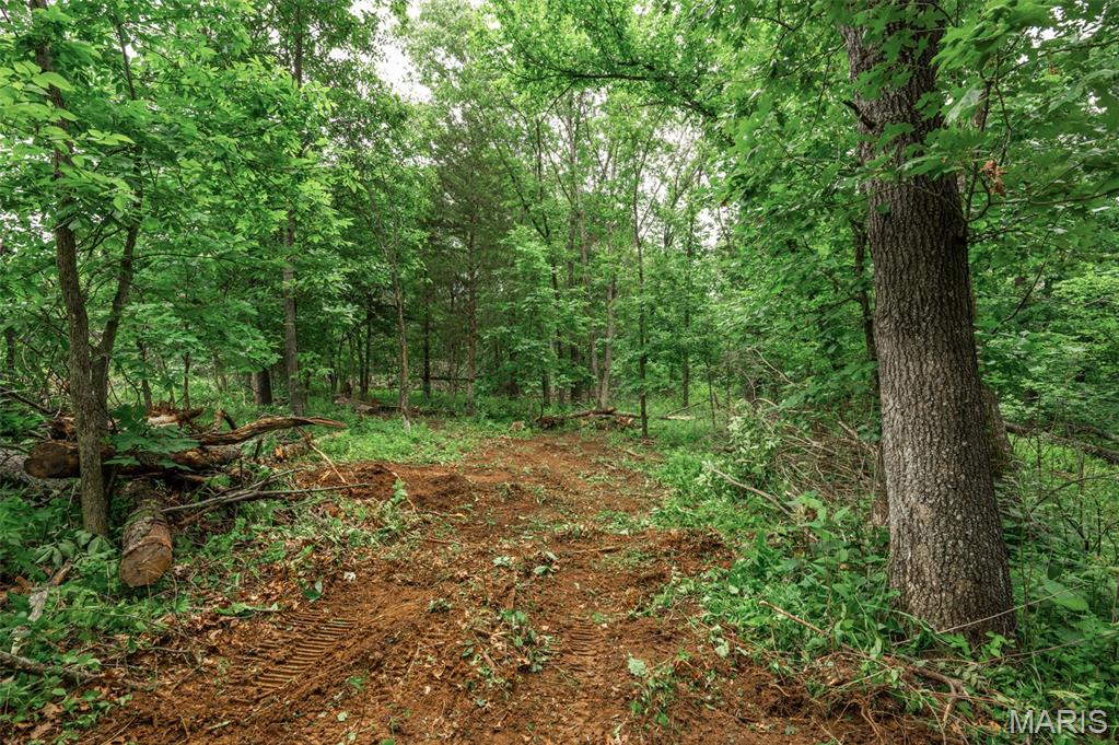 Halyon Estates - Land