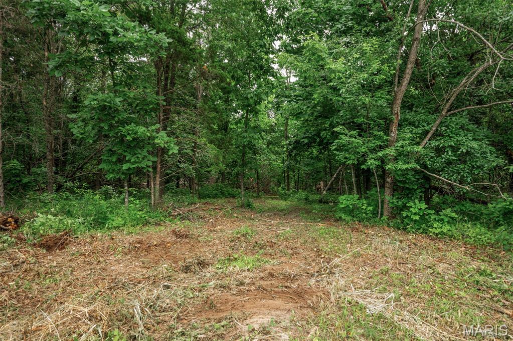 Halyon Estates - Land