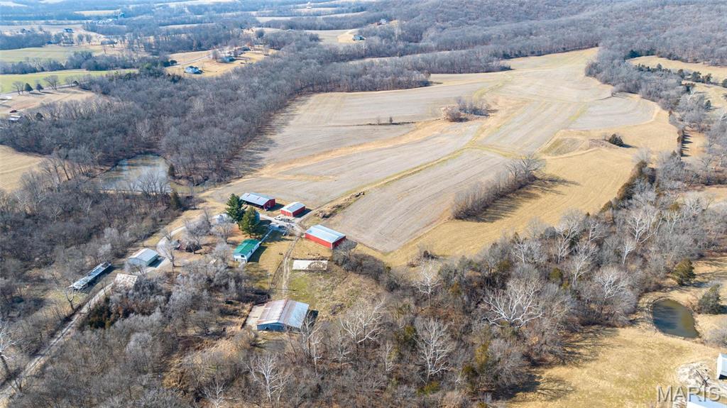 Newport Meadows future Dev - Farm