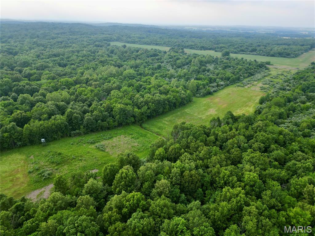 Located in highly sought after Hamilton County sits this rare tract of hunting/recreational land. This farm sits conveniently between Route 14 and 142 just west of Mcleansboro. 
 This beautiful tract features a diverse mix of mature hardwood timber, including red oak, white oak, walnut, wild cherry, and hickory, offering both natural beauty and long-term value.
Designed with the serious outdoorsman in mind, the farm is already set up for success with strategically placed Redneck blinds and established food plot locations ready for planting. The current owner has a proven history of harvesting several trophy class bucks on the property, showcasing the excellent habitat and strong deer genetics this area is known for.
With a great combination of cover, natural browse, and hunting improvements already in place, this farm is ready for October. Whether you’re looking for a premier hunting retreat, recreational getaway, or a long-term land investment, this Southern Illinois property checks all the boxes. Reach out for more info!
