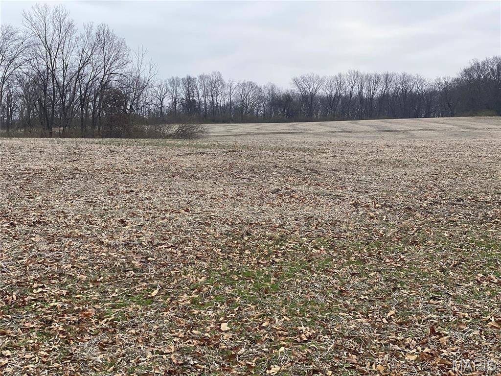 Development Tract on Elm Tree Road! 30+/- acres South of Troy fronting Elm Tree Road and near Troy 9th Grade Center.  Joins Troy City limits to the North.  Utilities available. Additional acreage available.  Owner will divide. $65,000/acre