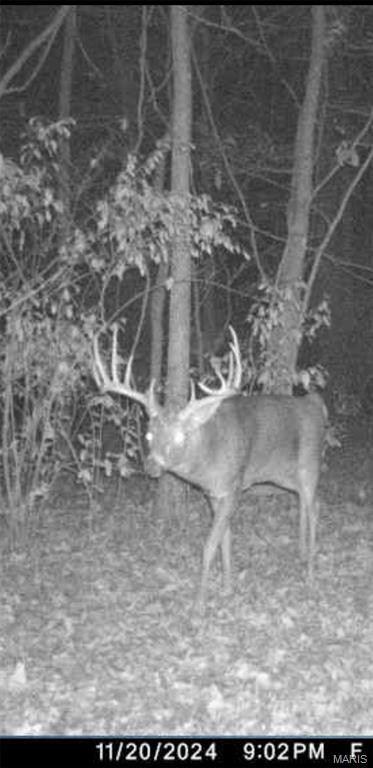 Check out this 10 acre, all wooded tract just miles outside of Benton. If you’ve been looking for a smaller tract with good hunting opportunities close to town, you don’t want to miss this one. With the creek nearby, this place is a huge travel funnel for deer. Just miles from town, you can leave the hotel or Air BnB and be at the farm in minutes. This will be 10 acres split from a 40 acre parcel so a survey can be negotiated.