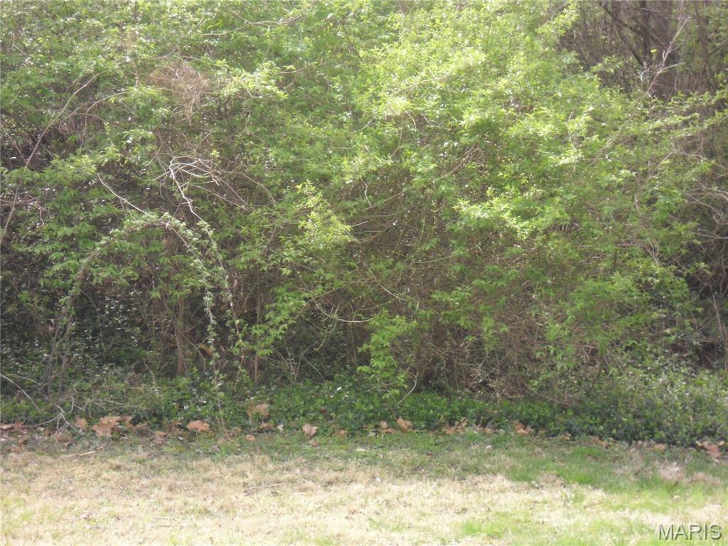 Parkview - Land